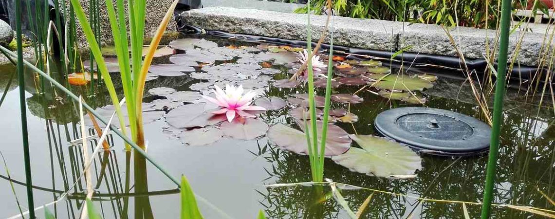 Alles für dem Garten in unserem Gartenmarkt